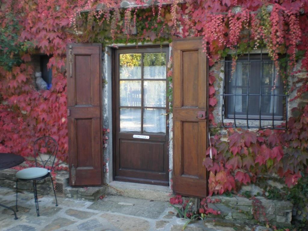 Agriturismo Podere Torre 그레베 인 키안티 외부 사진