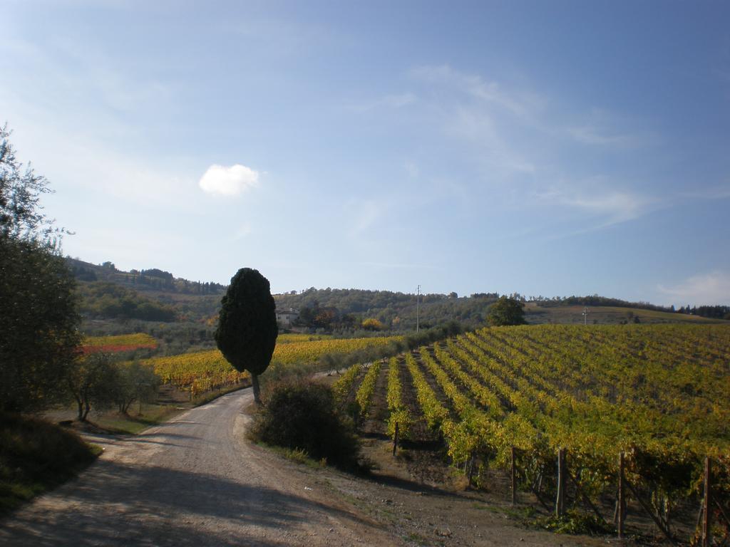 Agriturismo Podere Torre 그레베 인 키안티 외부 사진