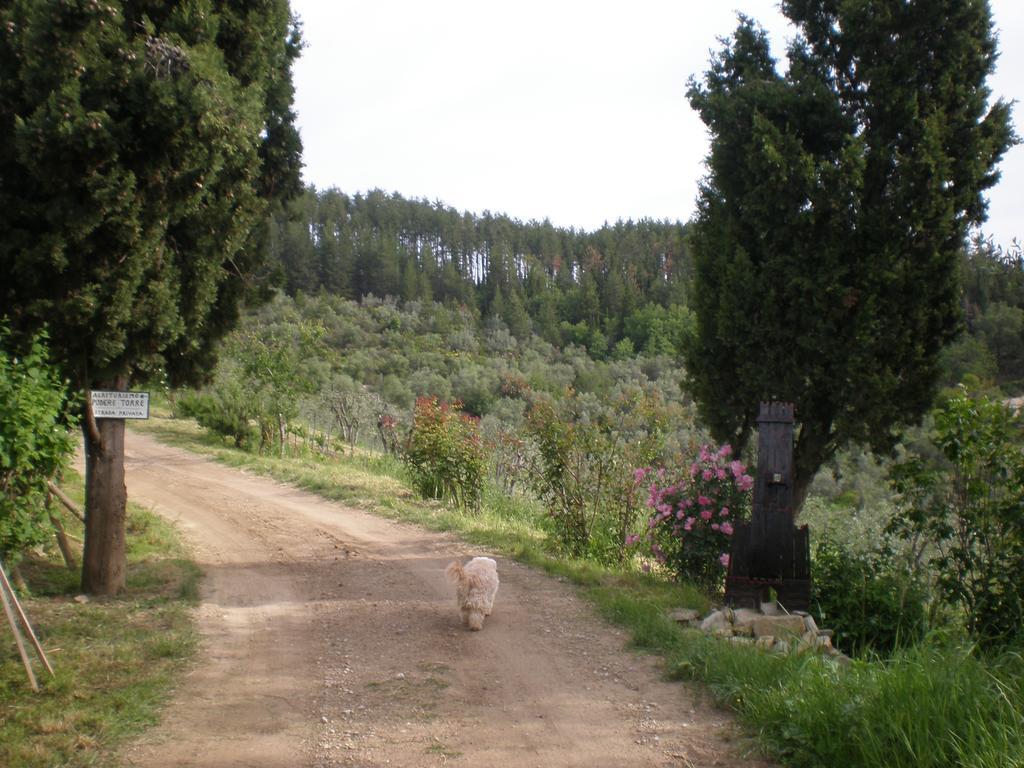 Agriturismo Podere Torre 그레베 인 키안티 외부 사진